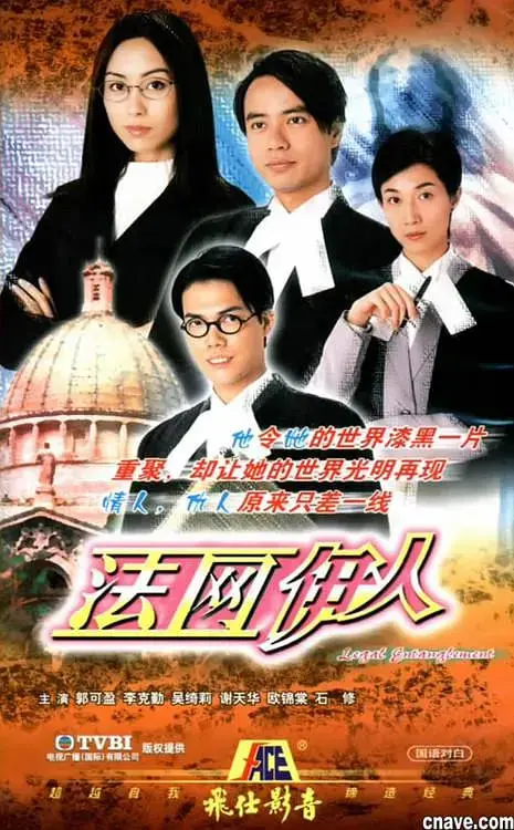 《法网伊人》：情感与正义的交织，婚姻律师的爱恨情仇与职场抉择！